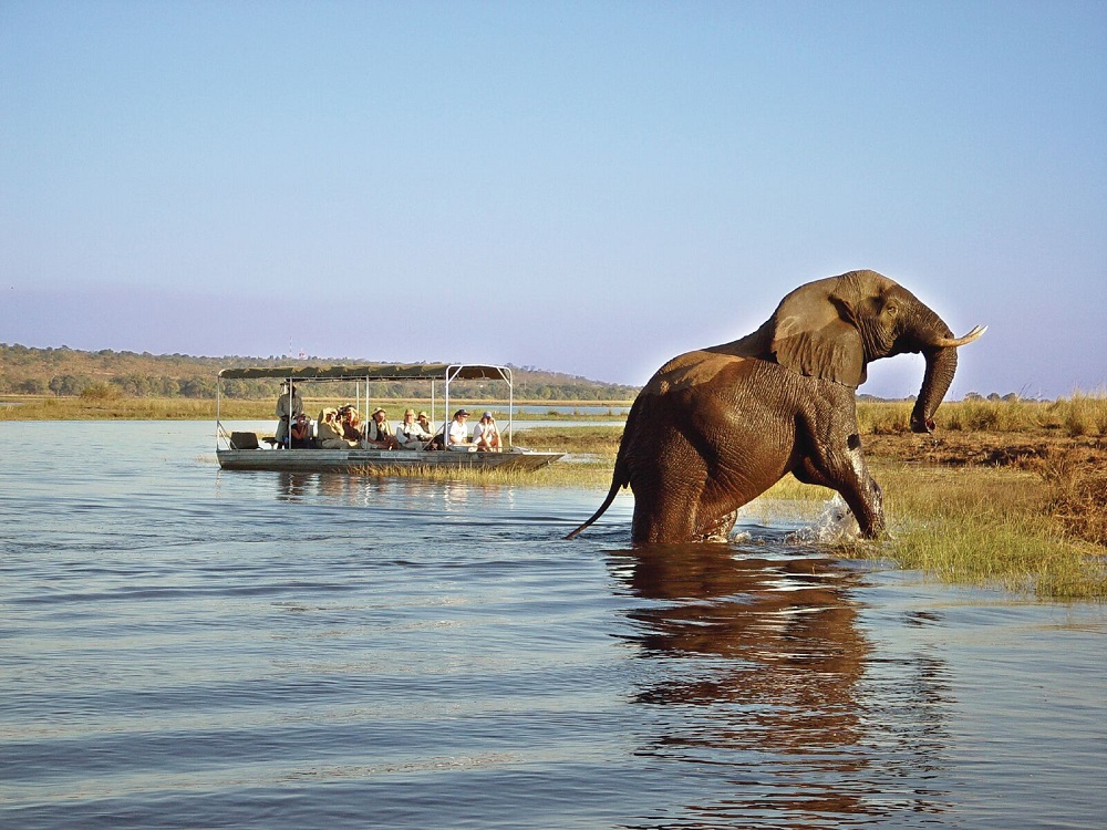 Chobe National Park