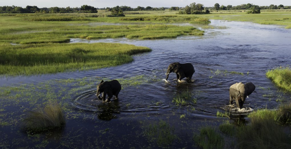 Okavango delta Johannesburg to Victoria Falls Tour