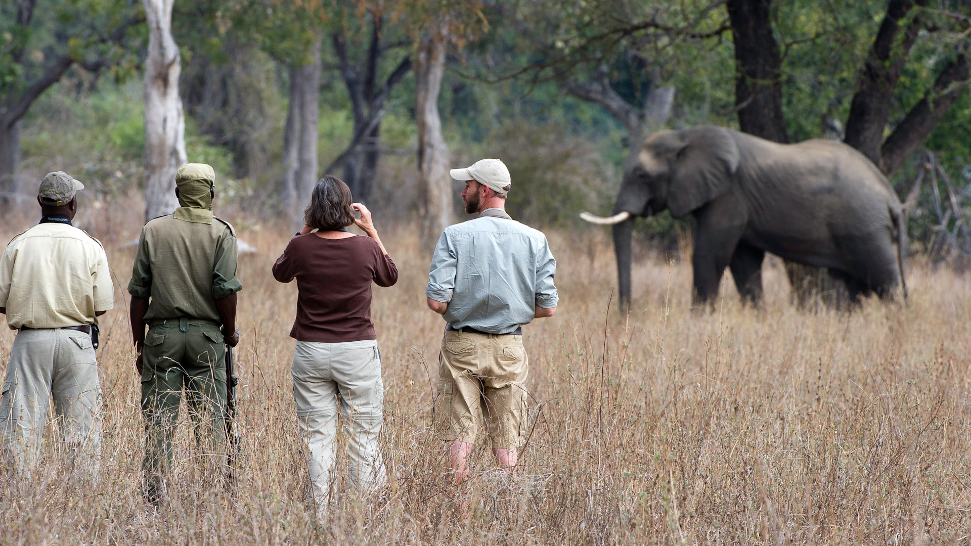 Zambia Safaris Tours