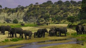  Tanzania national parks 