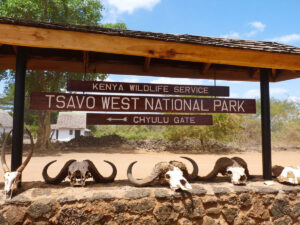 11 Days Kenya Safaris