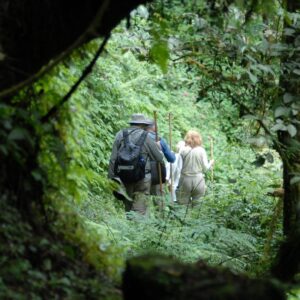Dian Fossey Trekf Uganda and Rwanda safari