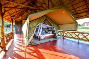 Twiga safari lodge
