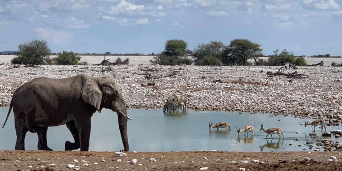 Etosha National Park