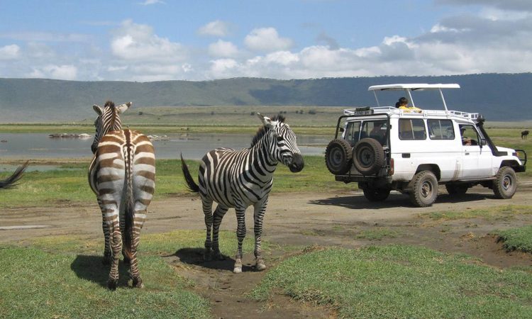 Tanzania wildlife safari and tours