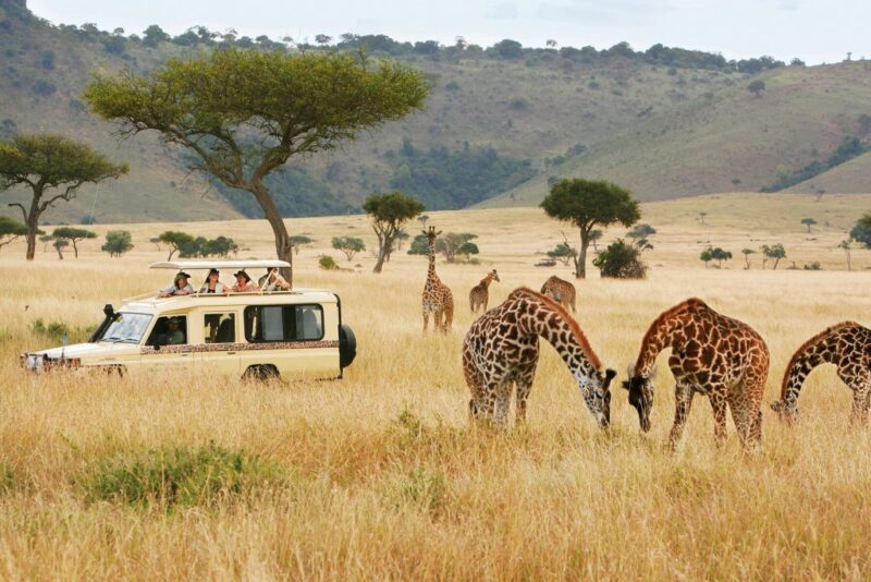 Go Kenya Tours and Travel 