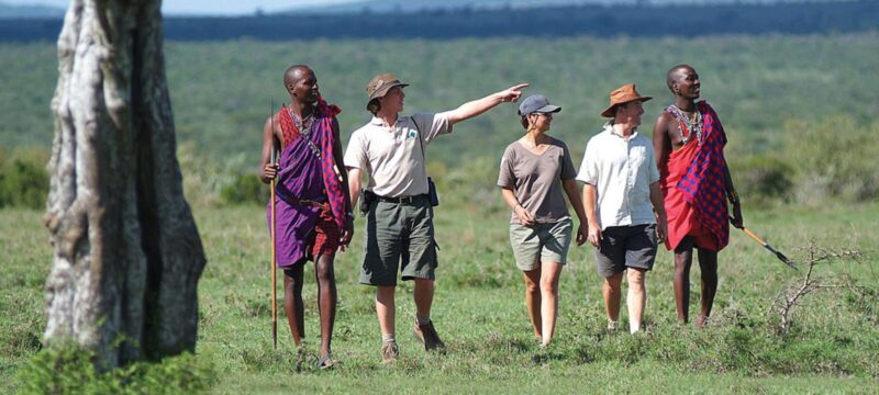 Best Kenya safari tours 