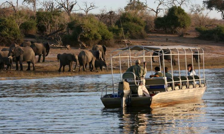  Best Boat safari and tours Tanzania