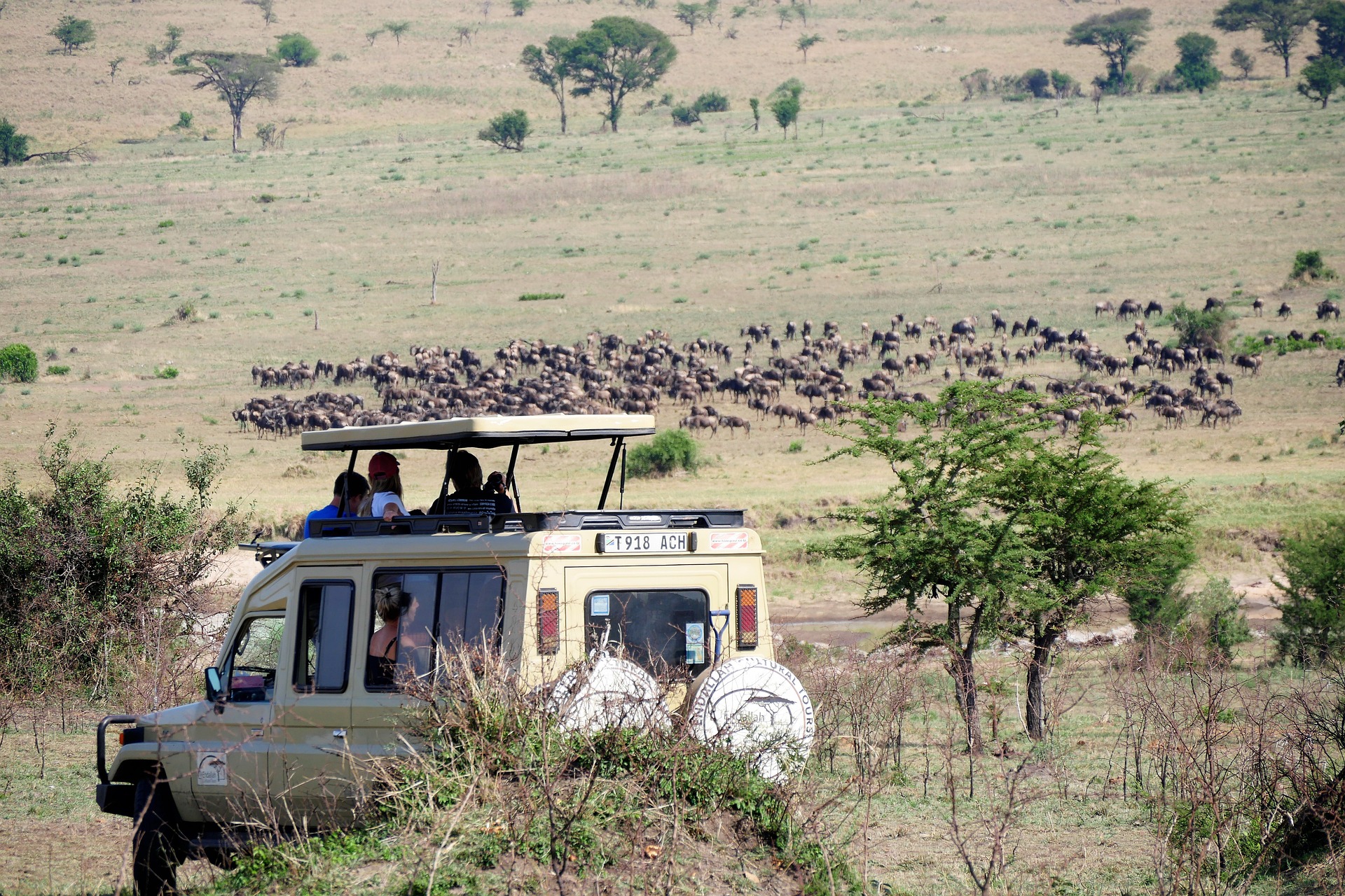 Mburo national park Game Drive 