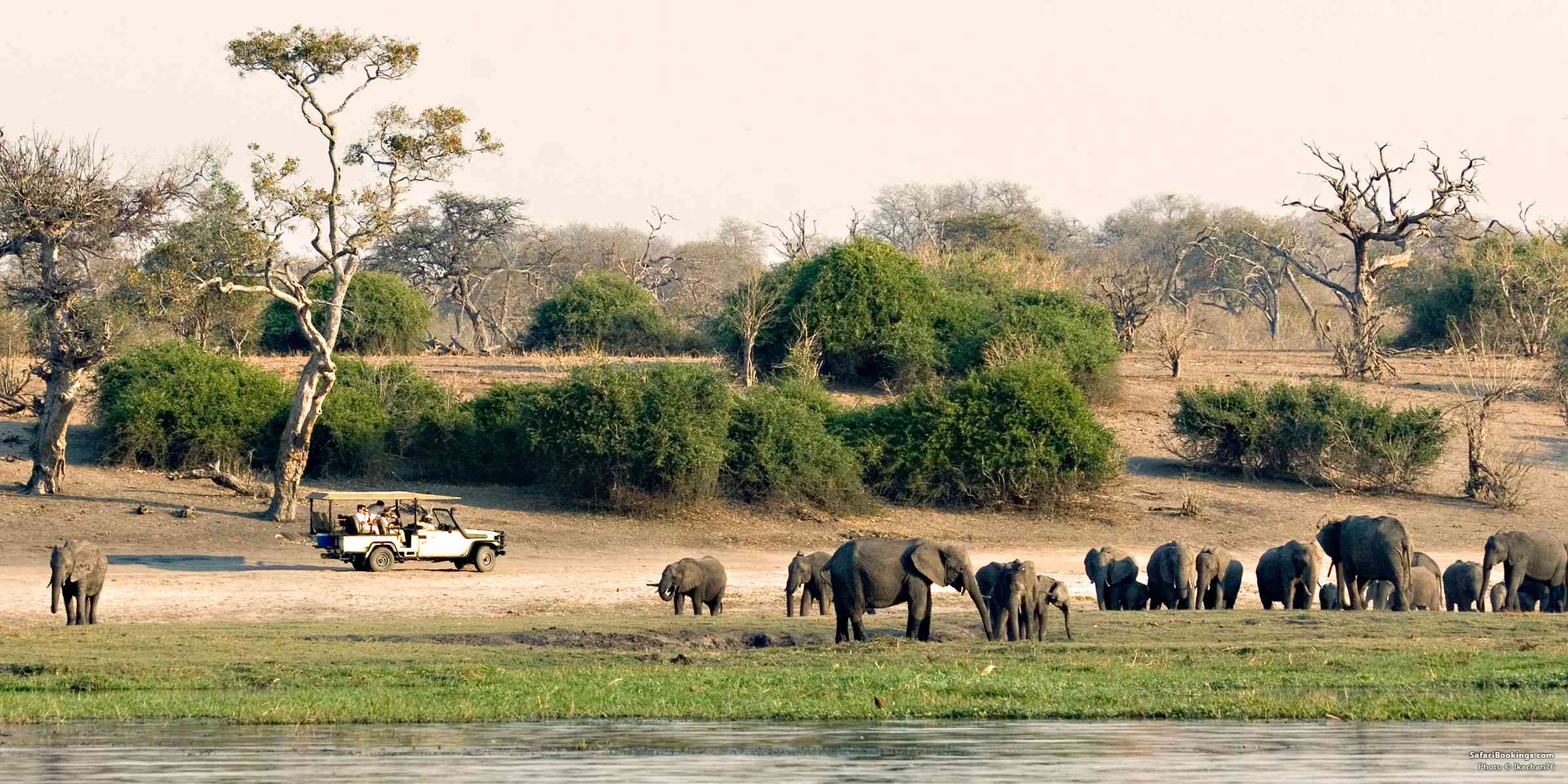Best Botswana safari tours 