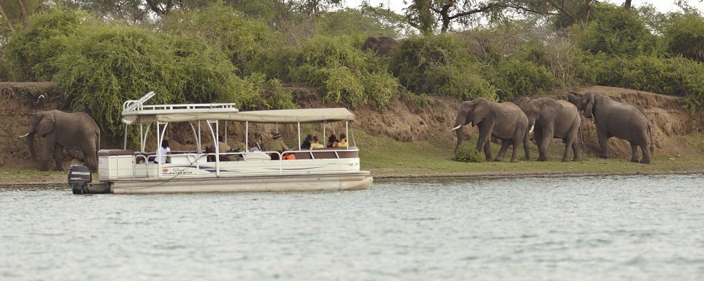 Queen Elizabeth safaris