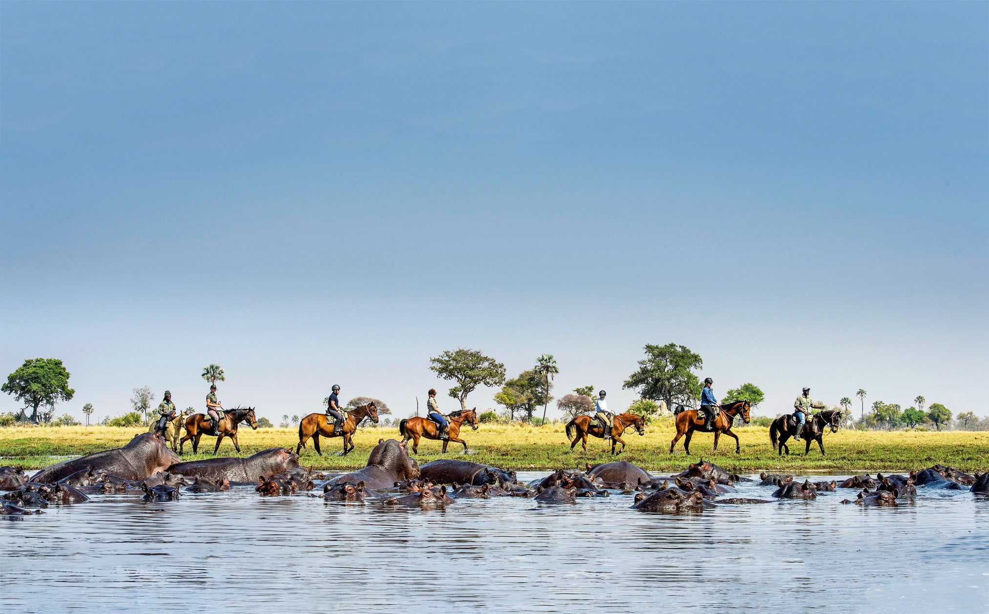 okavango delta horseback safaris