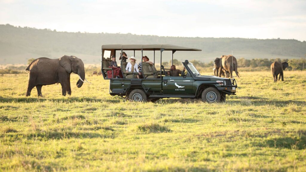 Whole day Game drive in Masai Mara National Reserve