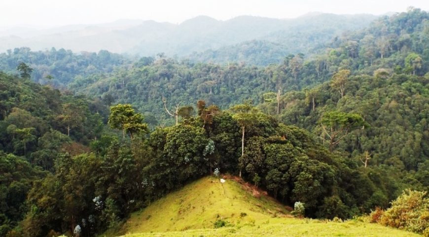 Gishwati Mukura National Park