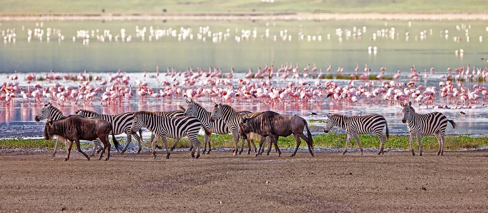 Lake Manyara National Park