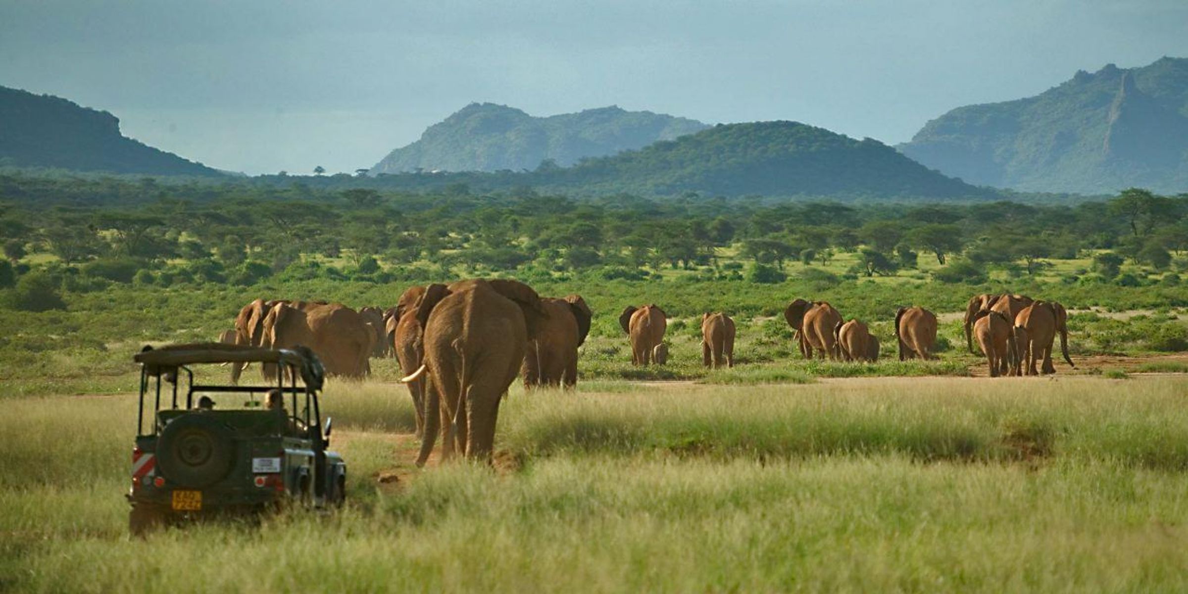 samburu national reserve 