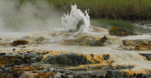 semuliki valley park - hot springs 