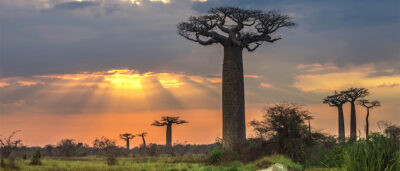 Madagascar tours and safari package