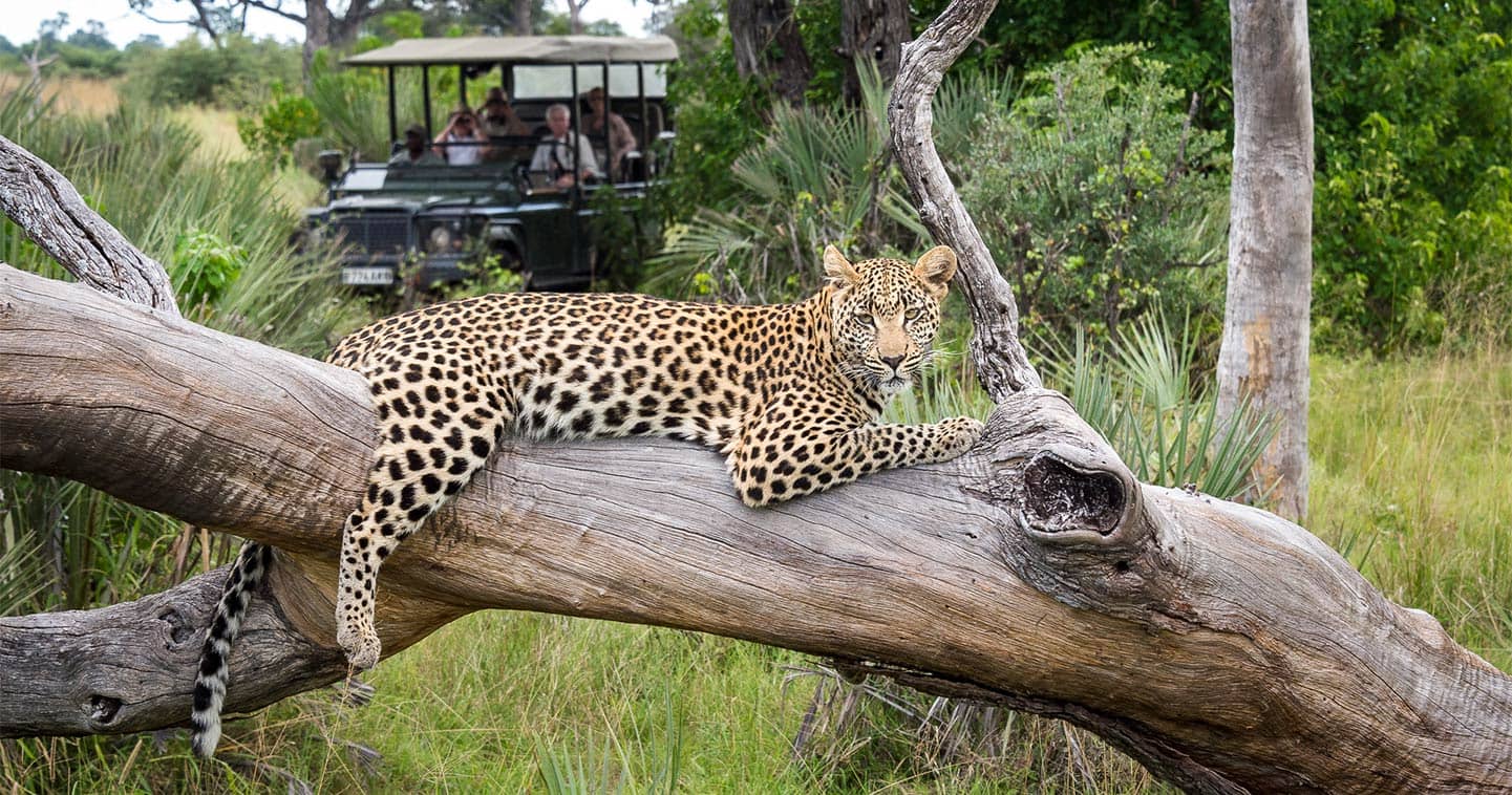 Moremi Game Reserve