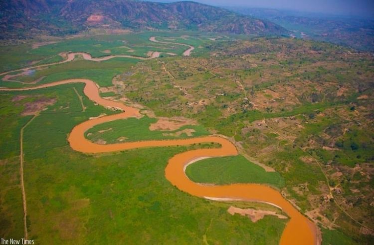 Nyabarango river wetlands best birding tour Rwanda 