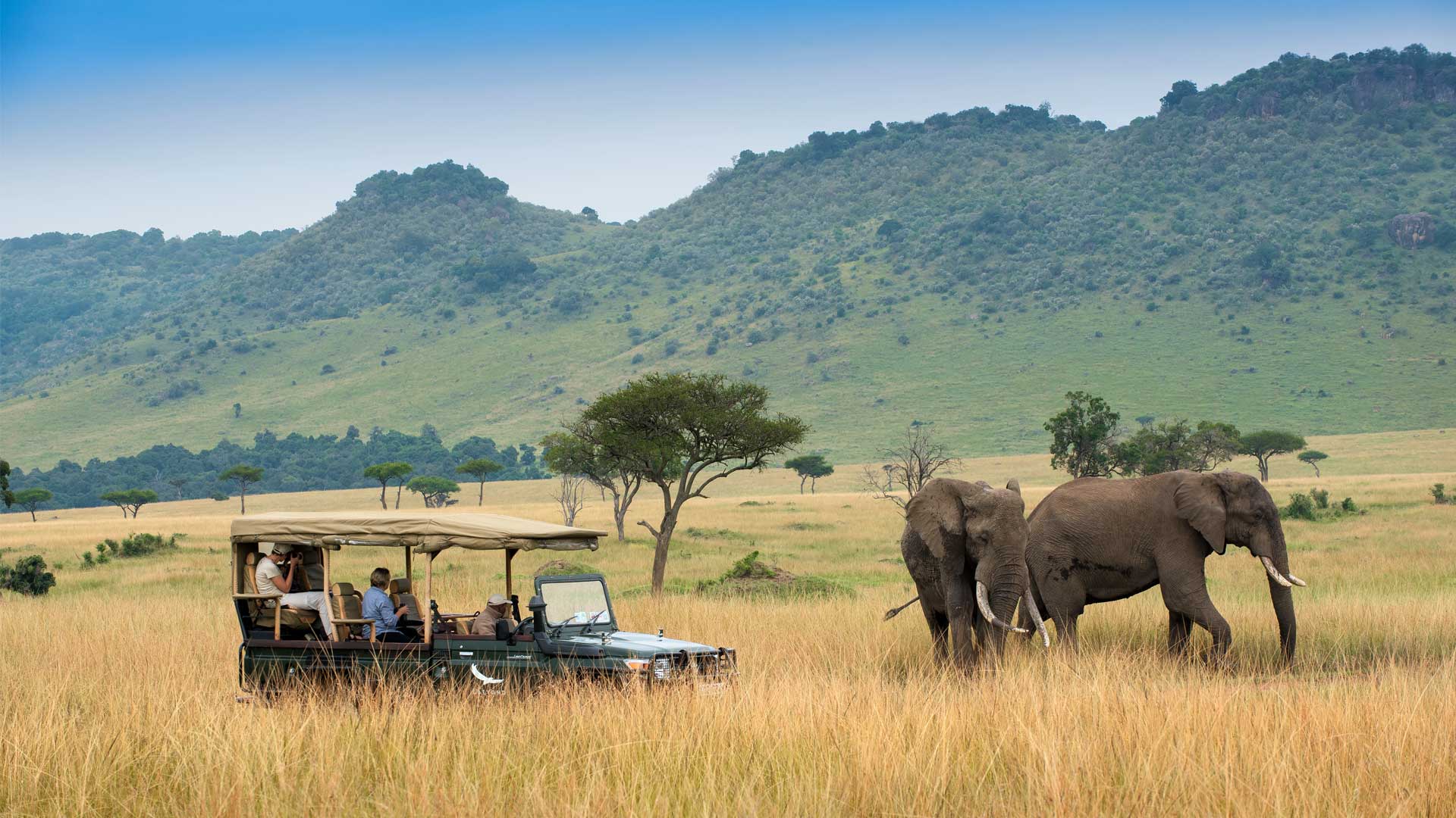Masai Mara Game reserve 