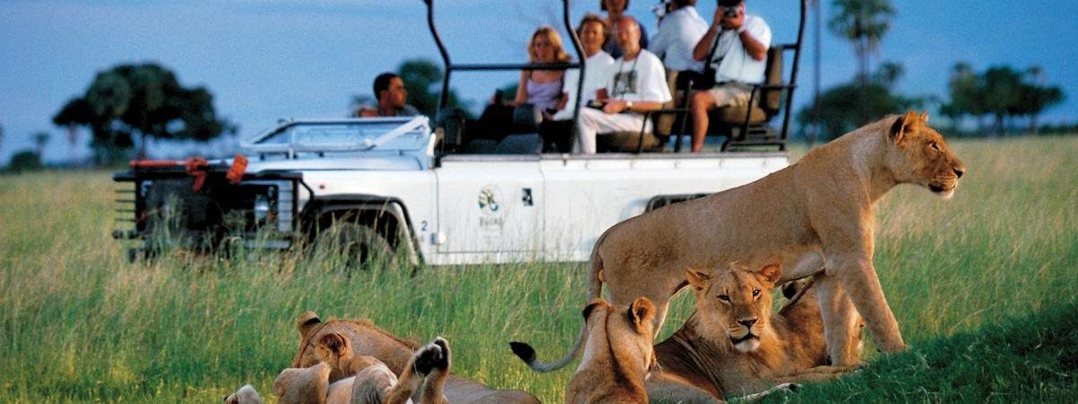 Zimbabwe Safaris Tours