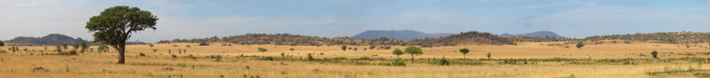 4 days Kidepo  National Park safari