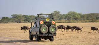 safari package kenya