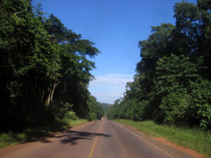 mabira central forest reserve
