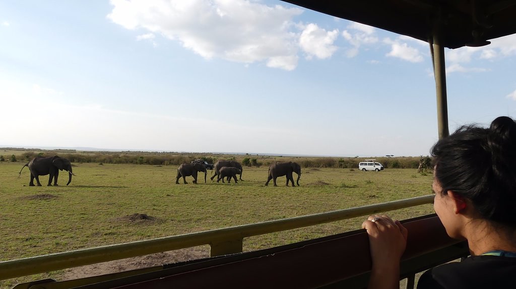 3 Days of Amboseli Safari from Mombasa by train