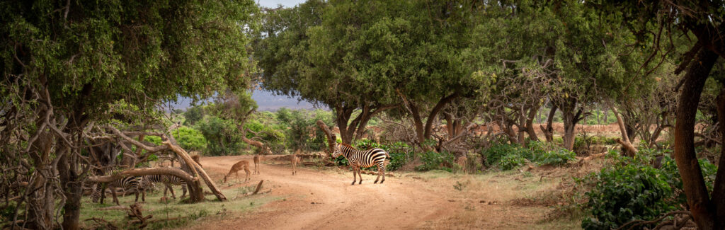 National parks in kenya