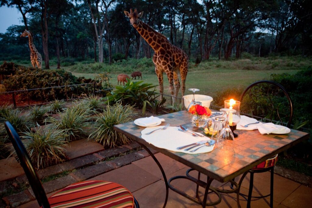 6 days luxury adventure in Kenya - Africa safari tours