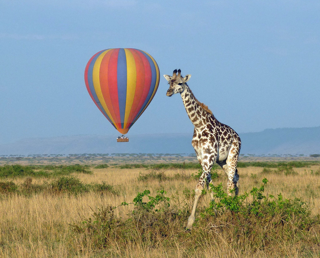 Hot air balloon Kenya safaris