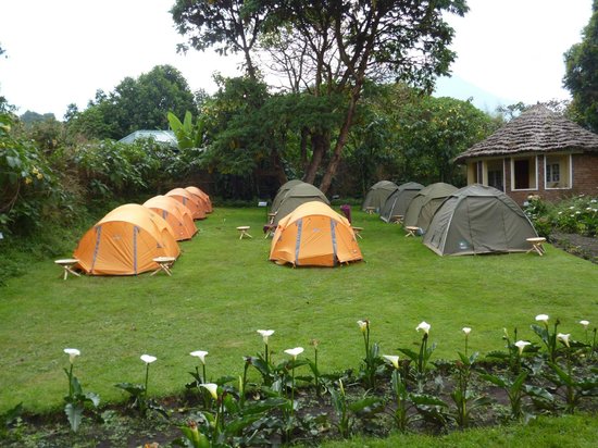 Accommodation in Mgahinga National Park
