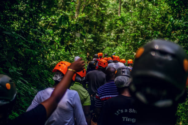 A group of tourists tracking chimpanzees in Uganda
