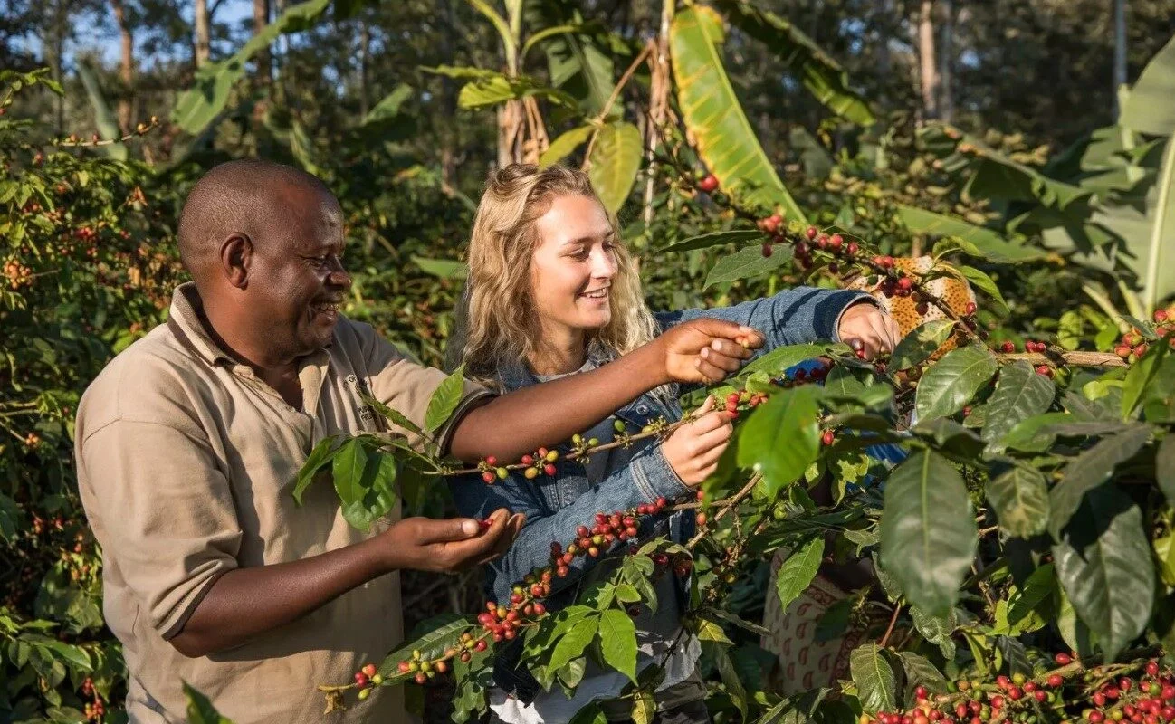 Coffee Tour in Moshi Tanzania - Kilimanjaro Coffee Plantation Experience