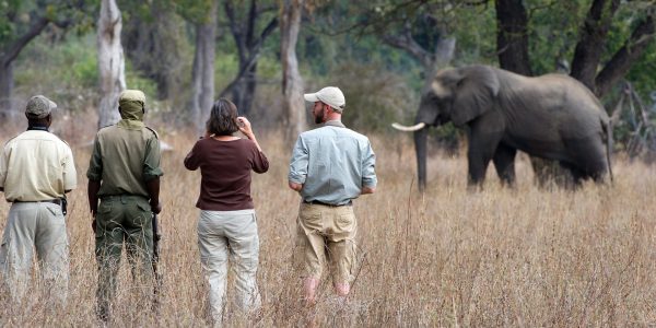 Zambia Safaris Tours