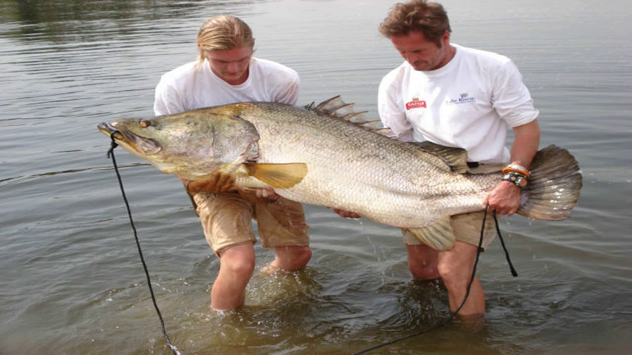 lake Victoria fishing in Uganda