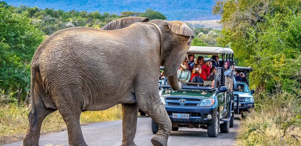 Swaziland Safaris - Africa safari tours all inclusive