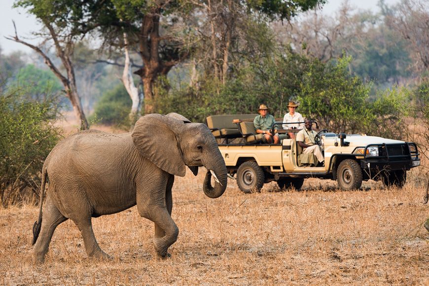 Malawi safaris, affordable Africa safari tours