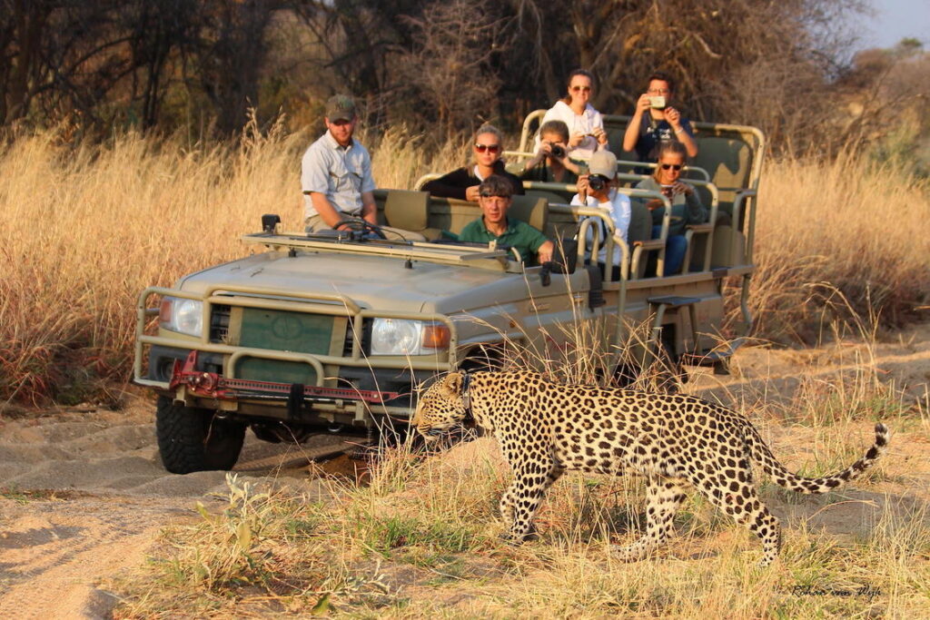 luxury Africa safaris - Namibia