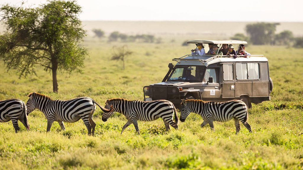 Uganda safaris game drives