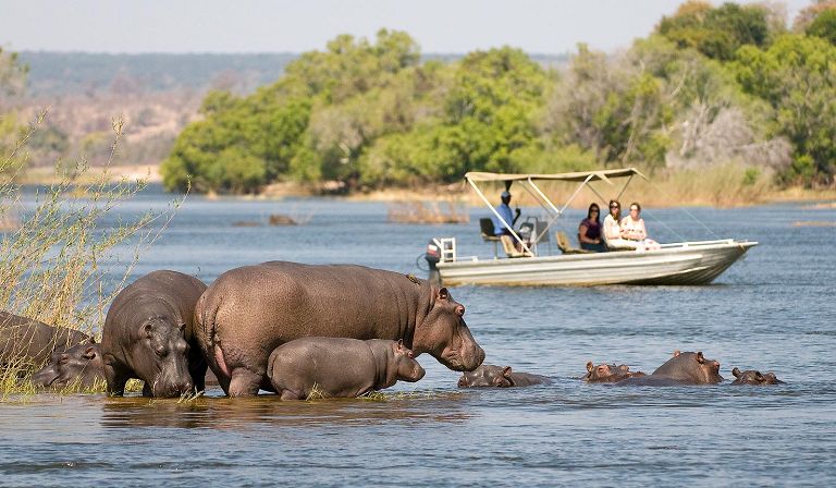 zimbabwe-safaris Cheap Africa tours