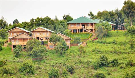 Broadbill Forest Camp Uganda