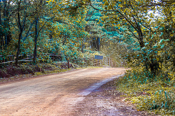 Cycling trail through the trees, road with red soil in Karura Forest, Nairobi, Kenya