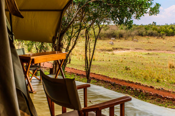 Afternoon view of veranda of an exclusive, luxury safari tent and surrounding vegetation during a Kenya camping safari. Beyond the pathway, a few grazing zebra are visible in the distance.