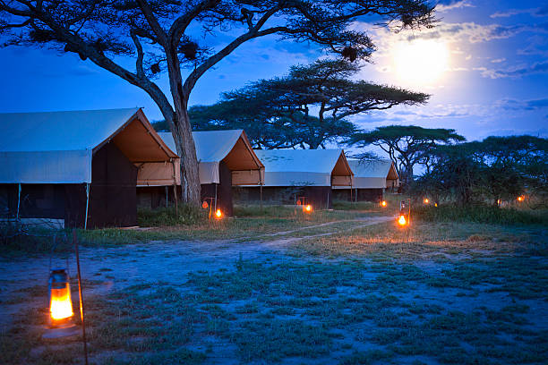 Tent camps in the Serengeti national park, Tanzania, Africa.